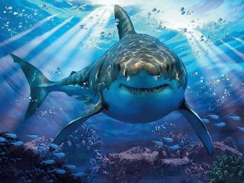 Picture of Prime 3D Puzzle Great White Shark 1000τμχ.