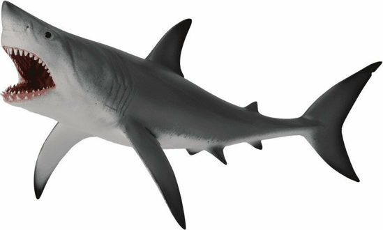 Picture of CollectA Μινιατούρα Μεγάλος Λευκός Καρχαρίας 20εκ.
