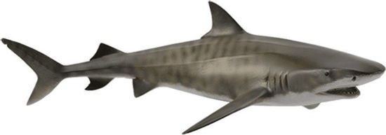 Picture of CollectA Μινιατούρα Καρχαρίας Τίγρης 16εκ.