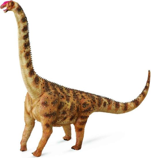 Picture of CollectA Μινιατούρα Αργεντινόσαυρος 25x19εκ.