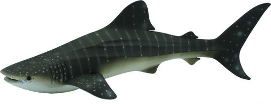 Picture of CollectA Μινιατούρα Φαλαινοκαρχαρίας 24εκ.