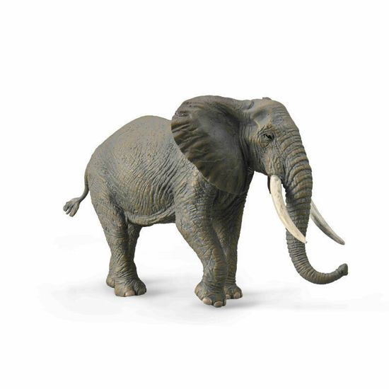 Picture of CollectA Μινιατούρα Αφρικανικός Ελέφαντας 10x15εκ.