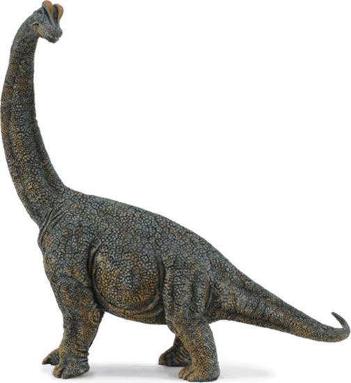 Picture of CollectA Μινιατούρα Βραχιόσαυρος 28.5x27εκ.