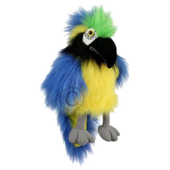 Picture of The Puppet Company Λούτρινη Γαντοκούκλα Blue & Χρυσό Macaw