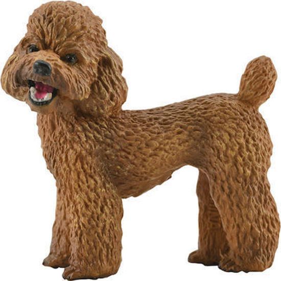 Picture of Collecta Μινιατούρα Poodle 4,2εκ.
